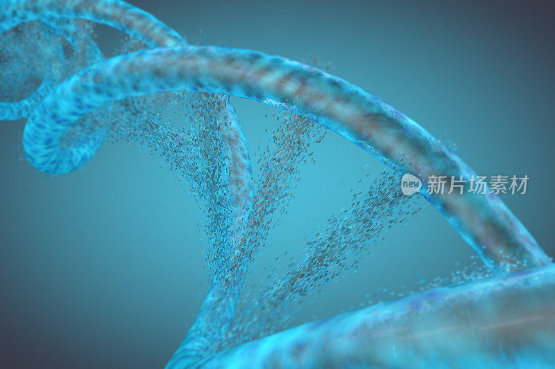 分子，DNA 螺旋